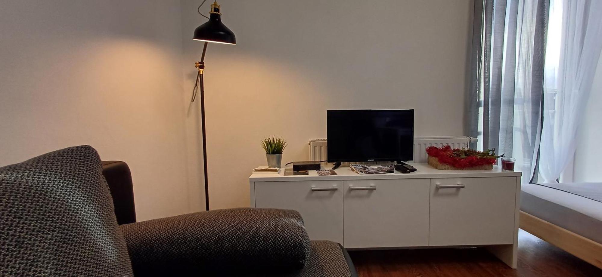 Haas Apartments Downtown With Parking Brno Dış mekan fotoğraf