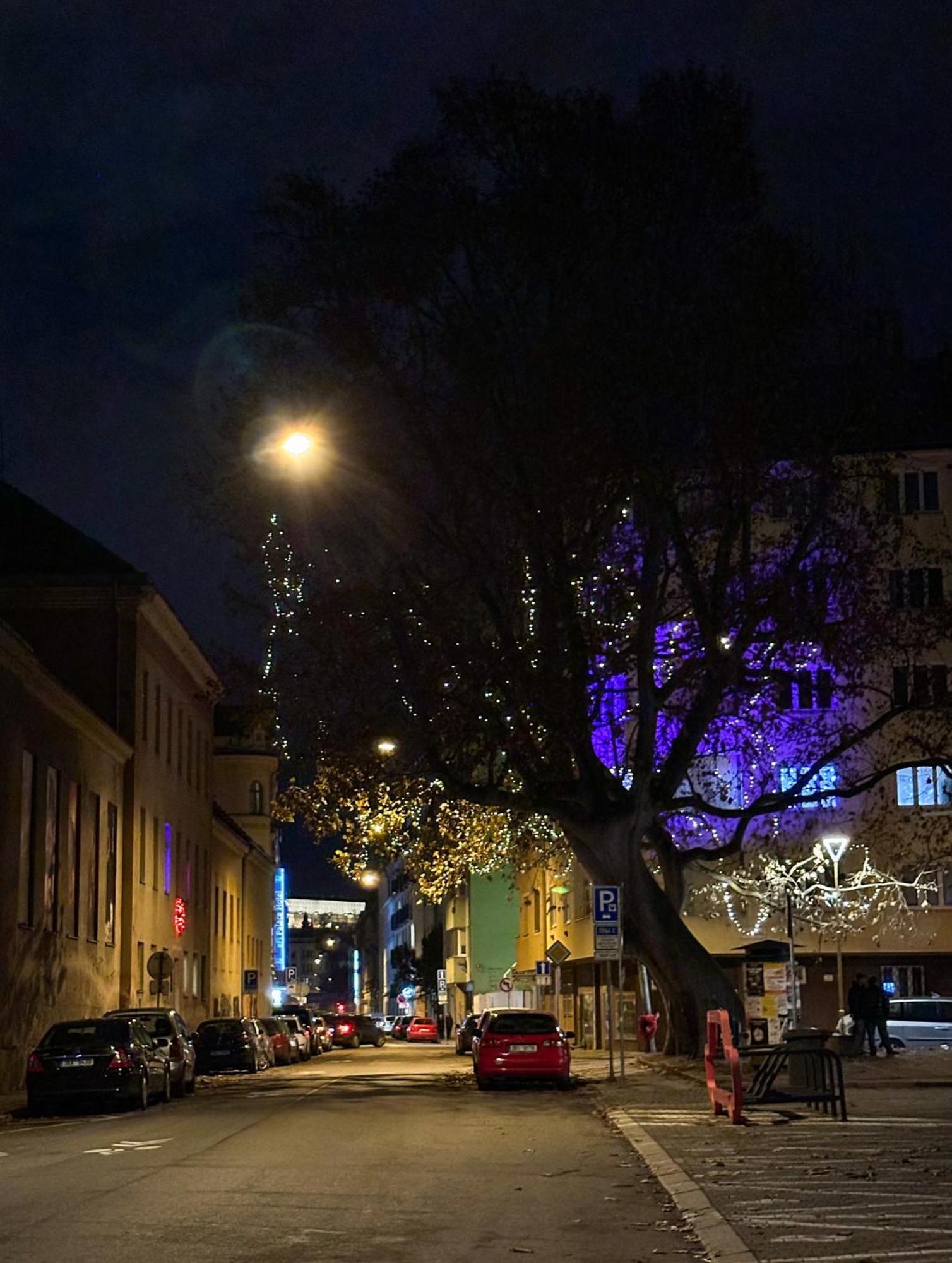 Haas Apartments Downtown With Parking Brno Dış mekan fotoğraf
