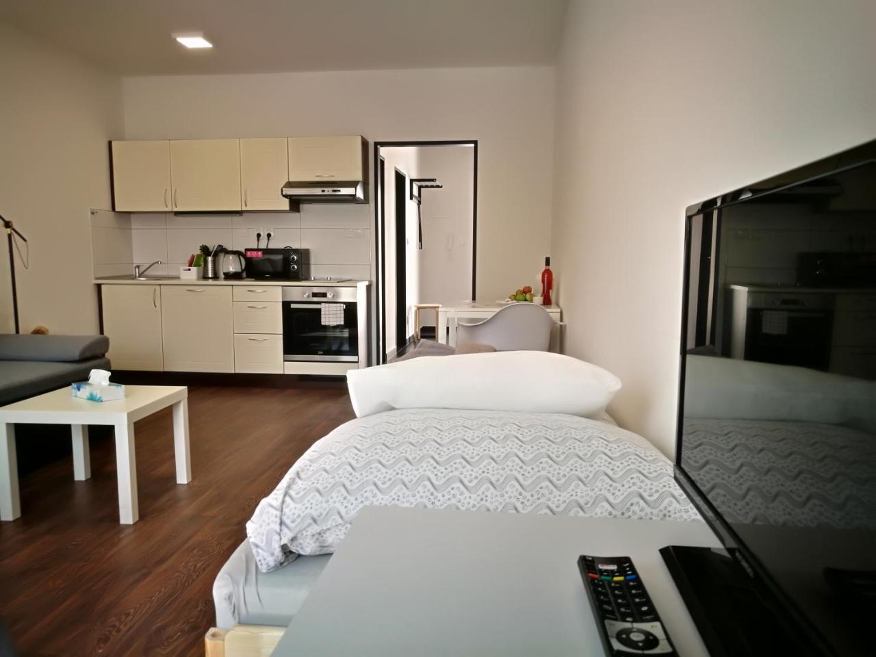 Haas Apartments Downtown With Parking Brno Dış mekan fotoğraf