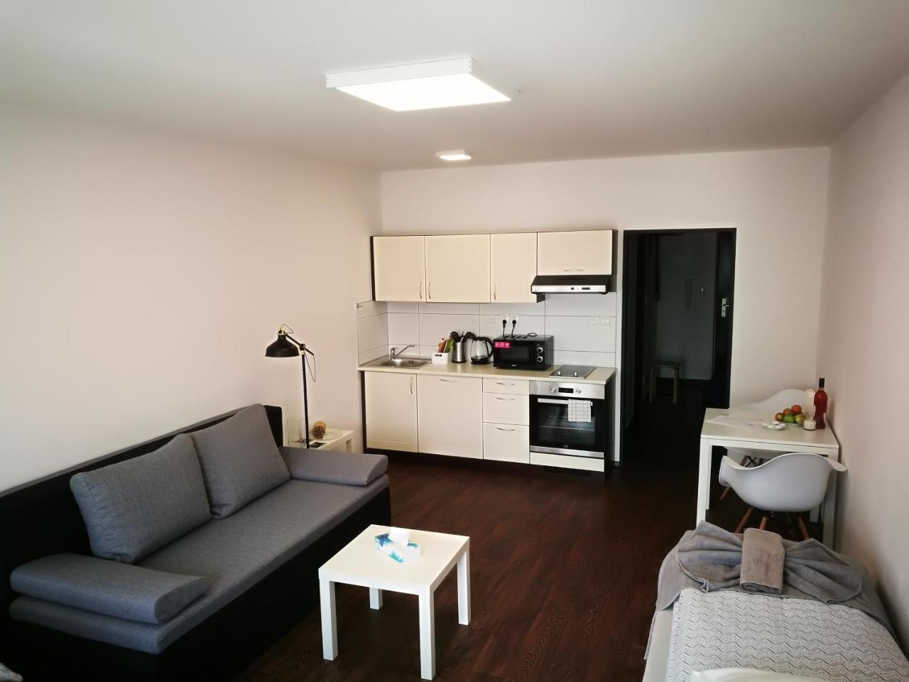 Haas Apartments Downtown With Parking Brno Dış mekan fotoğraf